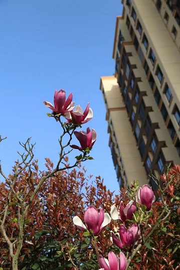 国产AV熟女一区二区三区