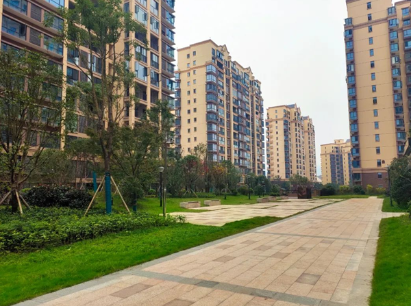 国产AV熟女一区二区三区