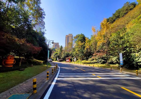 国产AV熟女一区二区三区