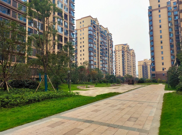 国产AV熟女一区二区三区