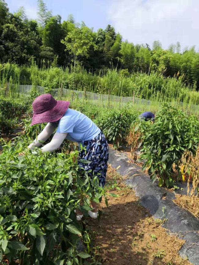 dc786dbf0a1935e48f2650dbfaf1bc4