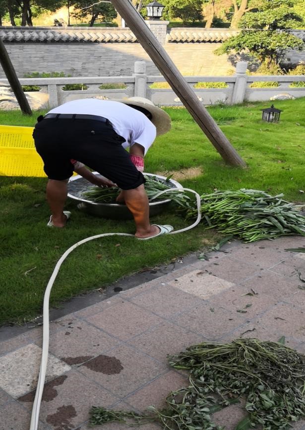 208728506fe4308fc87c4b5e4db4ca4