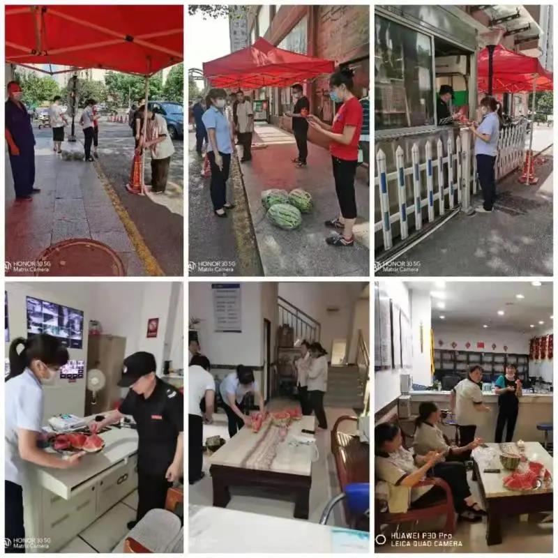 国产AV熟女一区二区三区