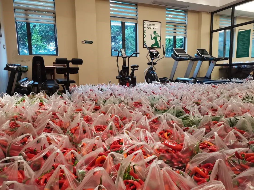 国产AV熟女一区二区三区